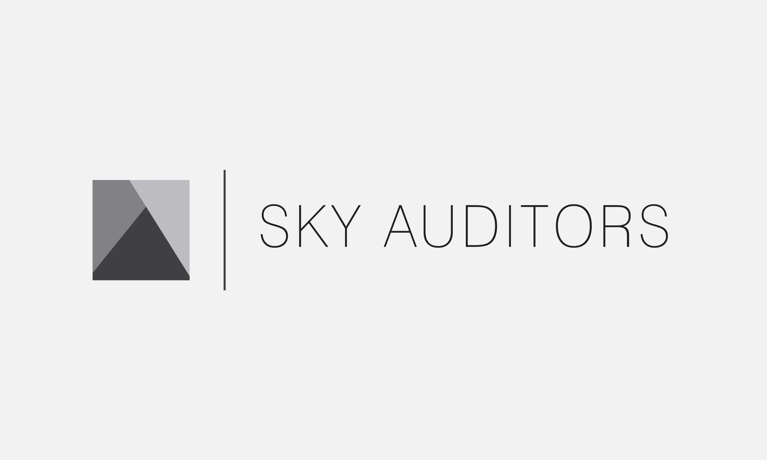 SKY Auditors - Visual Identity